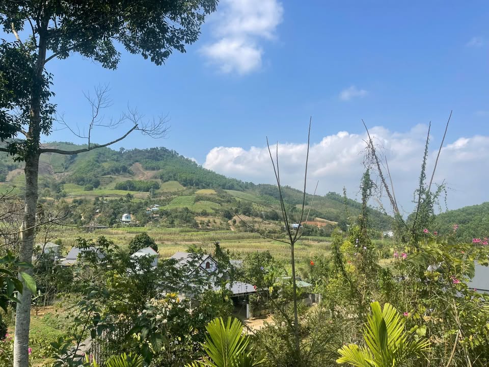 Đất nền Nam Phong, Cao Phong 2900m² - Sổ đỏ chính chủ, view triệu đô!