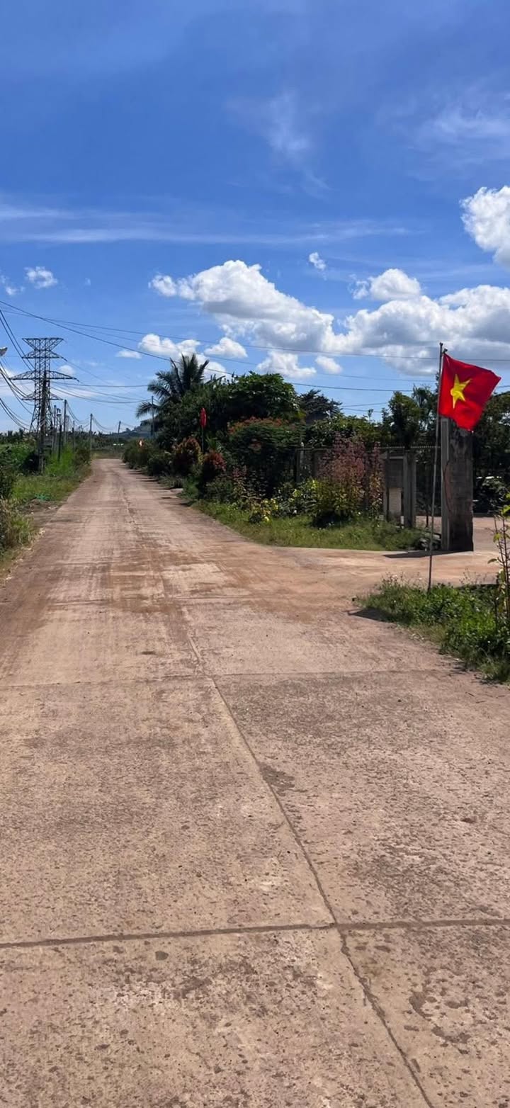 Đất nền Tân Hội Đức Trọng 240m² giá 739 triệu - Sổ đỏ chính chủ