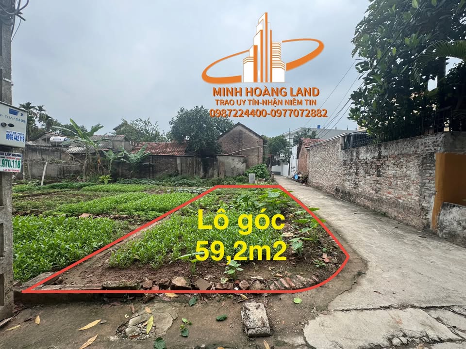 Bán Đất Lô Góc 59m² Đan Phượng - Ô Tô Tránh Nhau, Sổ Đỏ Sẵn Sàng