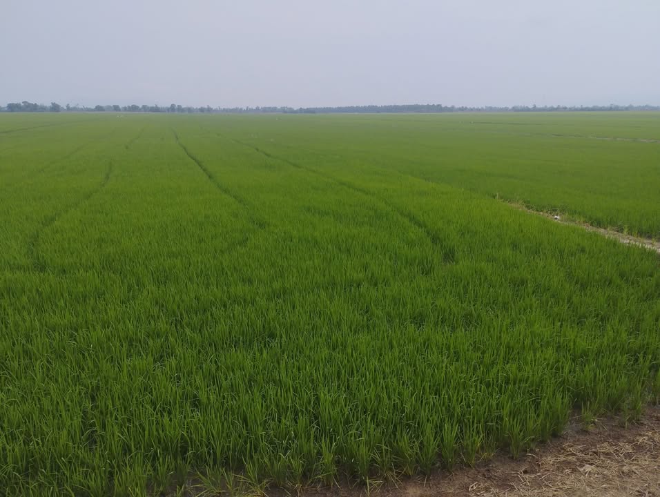 Đất nền Giang Thành, Kiên Giang 96.000m² - Tiềm năng tăng giá vượt trội!