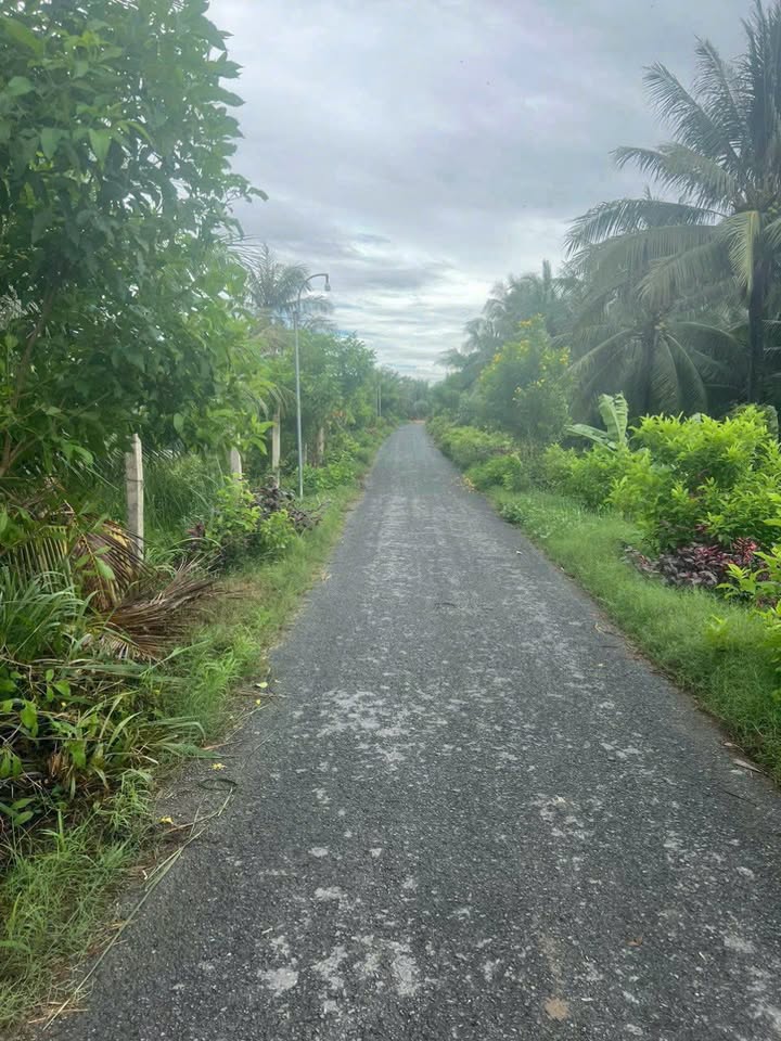 Đất nền Lương Hòa 2000m² - Sổ đỏ chính chủ, giá đầu tư tốt!