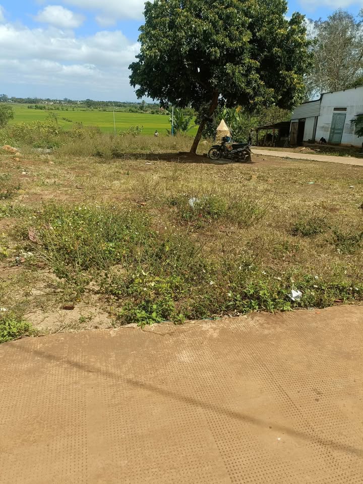 Đất Nền Thị Trấn Phước An, Krông Pắc - Sổ Đỏ 150m² Giá 400 Triệu