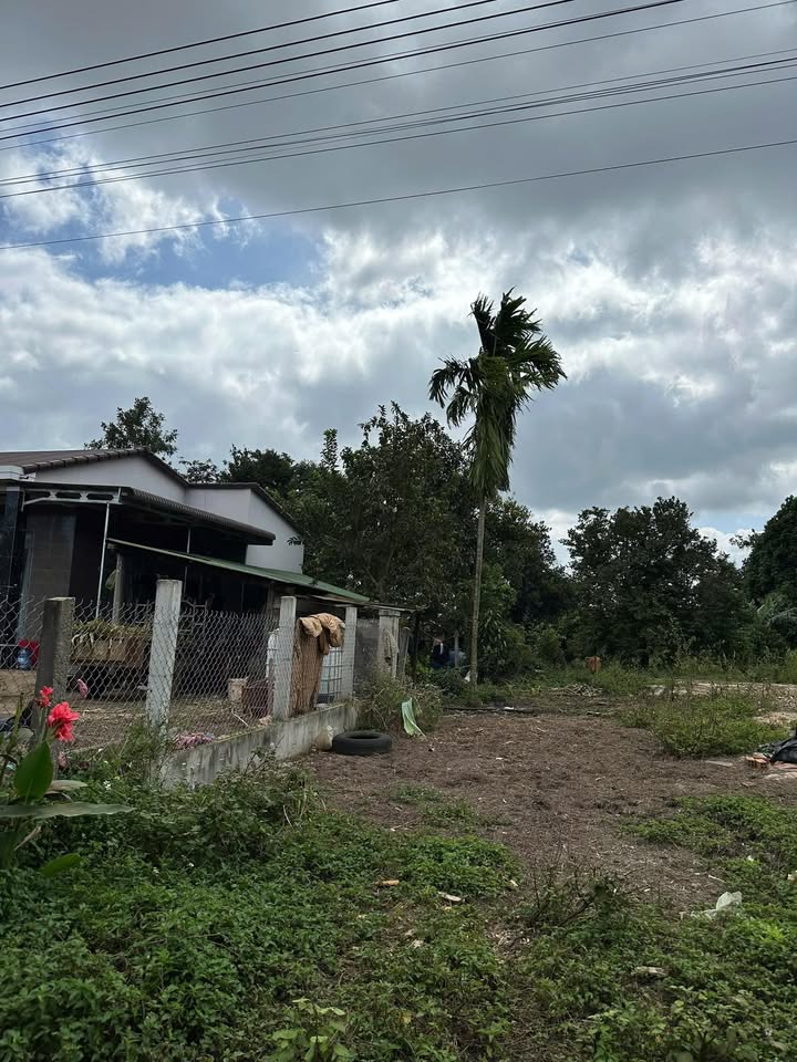 Đất nền Xã Ea Phê, Krông Pắc, Đắk Lắk - 240m² - Sổ TC 310 triệu