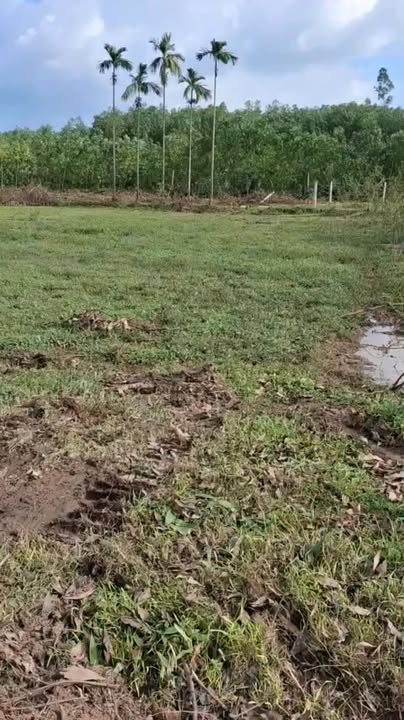 Đất Nền Đức Phú, Mộ Đức, Quảng Ngãi - 900m² Sổ Hồng Giá 260 Triệu