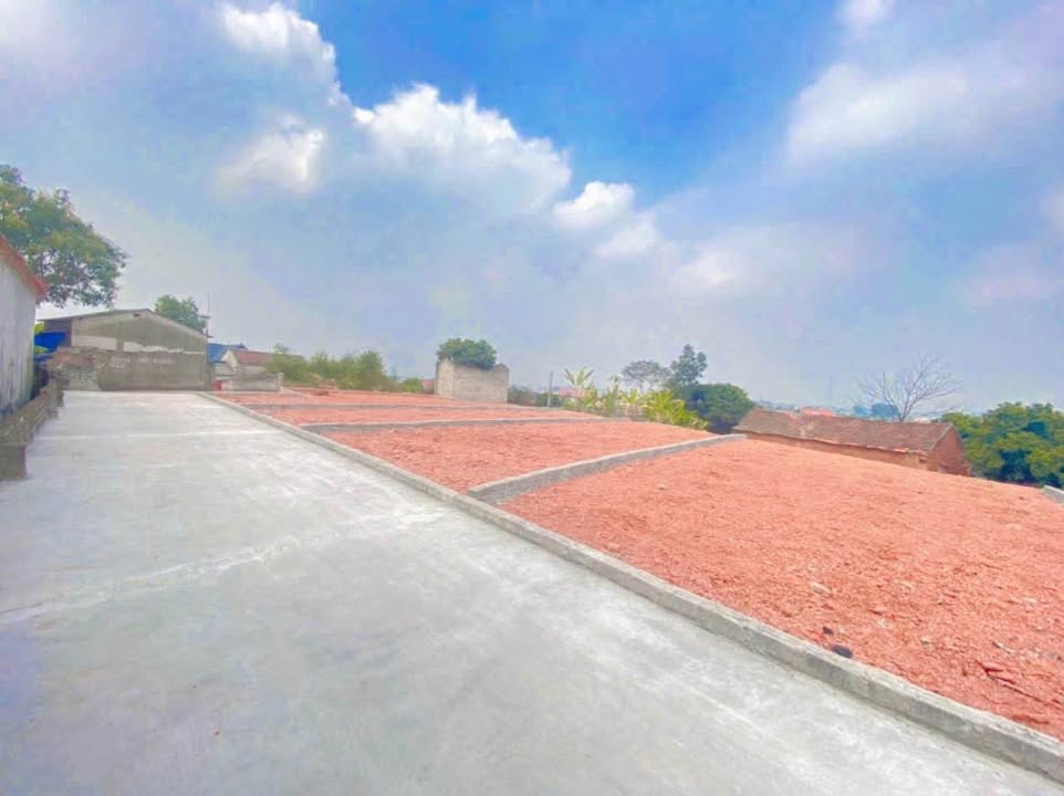 Đất Thổ Cư Lạng Giang 100m² - Sổ Đỏ Sẵn Sàng, Giá Đầu Tư Chỉ 600 Triệu