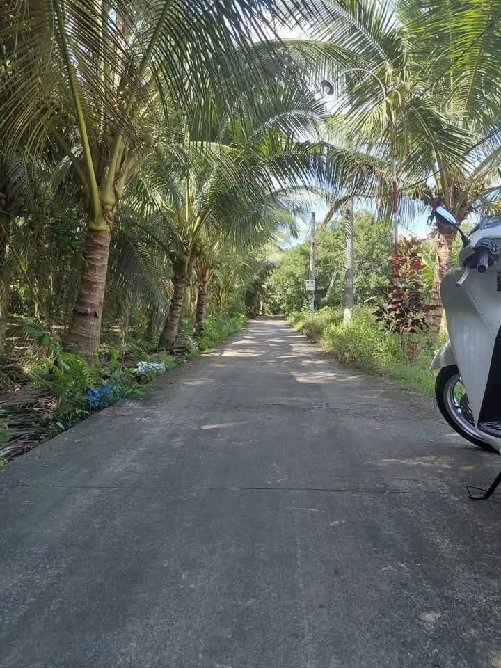 Đất nền Châu Thành Tiền Giang 135m² giá 390 triệu - Sổ đỏ chính chủ