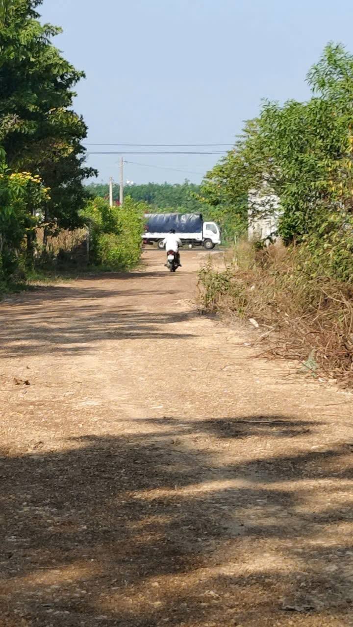 Bán đất Thạnh Đông Tân Châu 5.300m² giá 2.1 tỷ - Sổ đỏ chính chủ