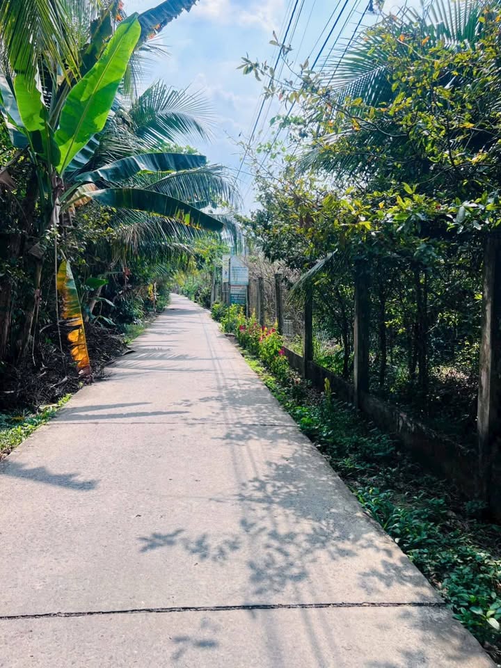 Đất Vườn Vĩnh Long 573m² Sổ Hồng Sẵn Sàng Lên Thổ Cư - Giá 1.3 Tỷ