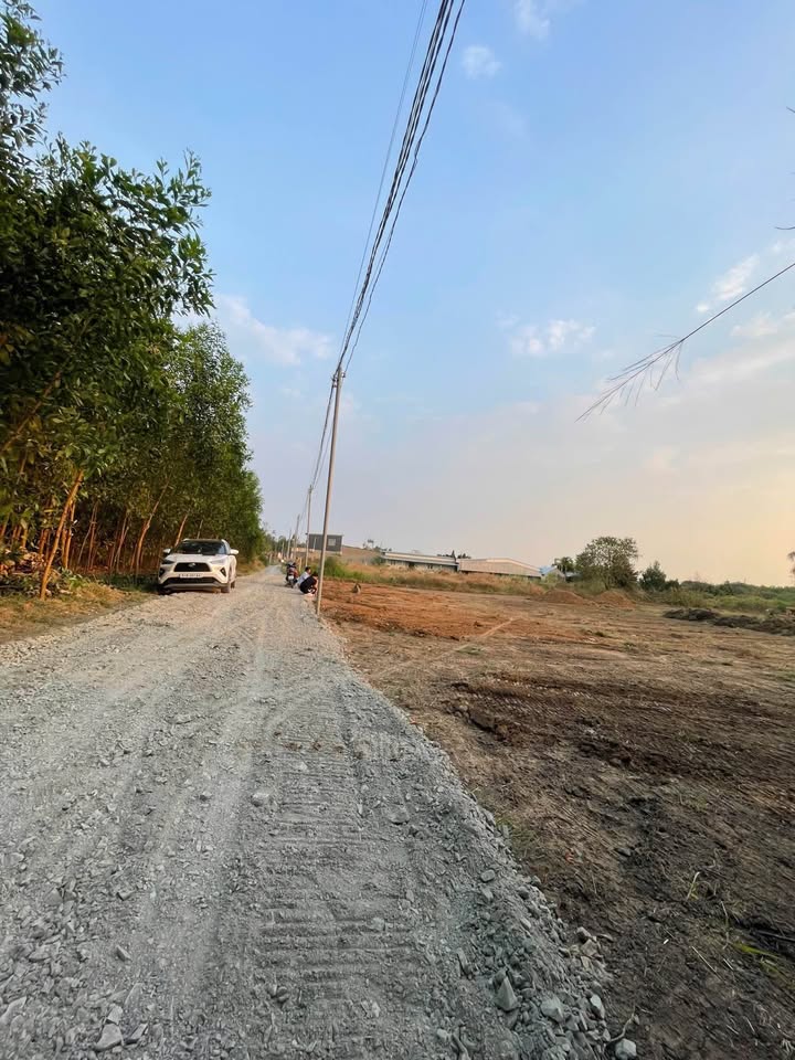 Đất Vĩnh Thanh, Đồng Nai - Sổ Hồng Riêng, Giá Chỉ Từ 430 Triệu