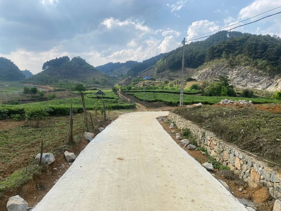 Bán Đất Nền Vân Hồ, Sơn La 2000m² - View 360° Độc Đáo