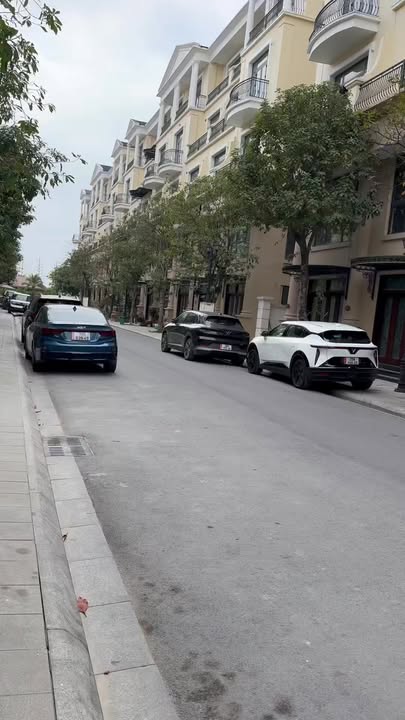 Biệt thự Đảo Dừa Vinhomes Ocean Park 2 - 70m² - Nhỉnh 10 tỷ