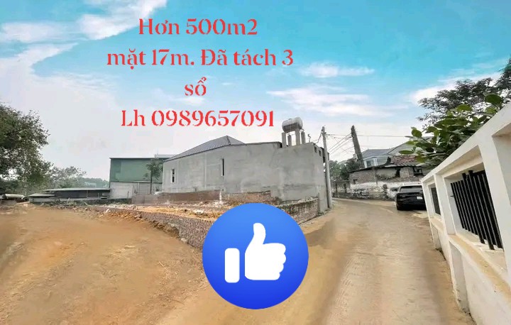 Đất nền Diên Lâm Tam Dương 500m² giá 3 tỷ - Sổ đỏ chính chủ!