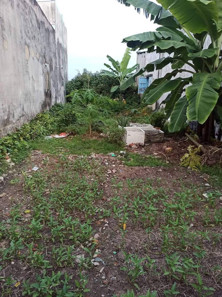 Bán Đất Thổ Cư 103m² Hẻm Xe Hơi Đường Số 9 Thủ Đức - Sổ Hồng Sẵn Sàng