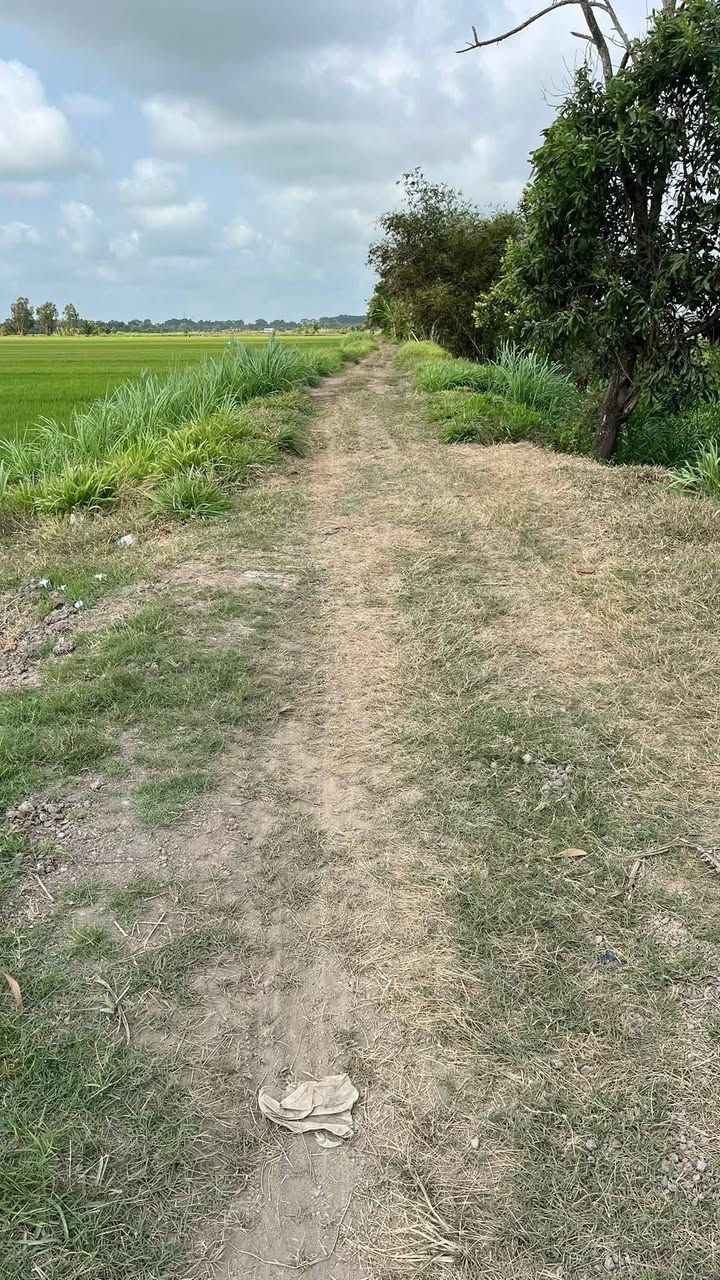 Bán 9.3 Công Đất 2 Mặt Tiền Đa Lộc - Châu Thành - Giá Chỉ 180 Triệu/Công