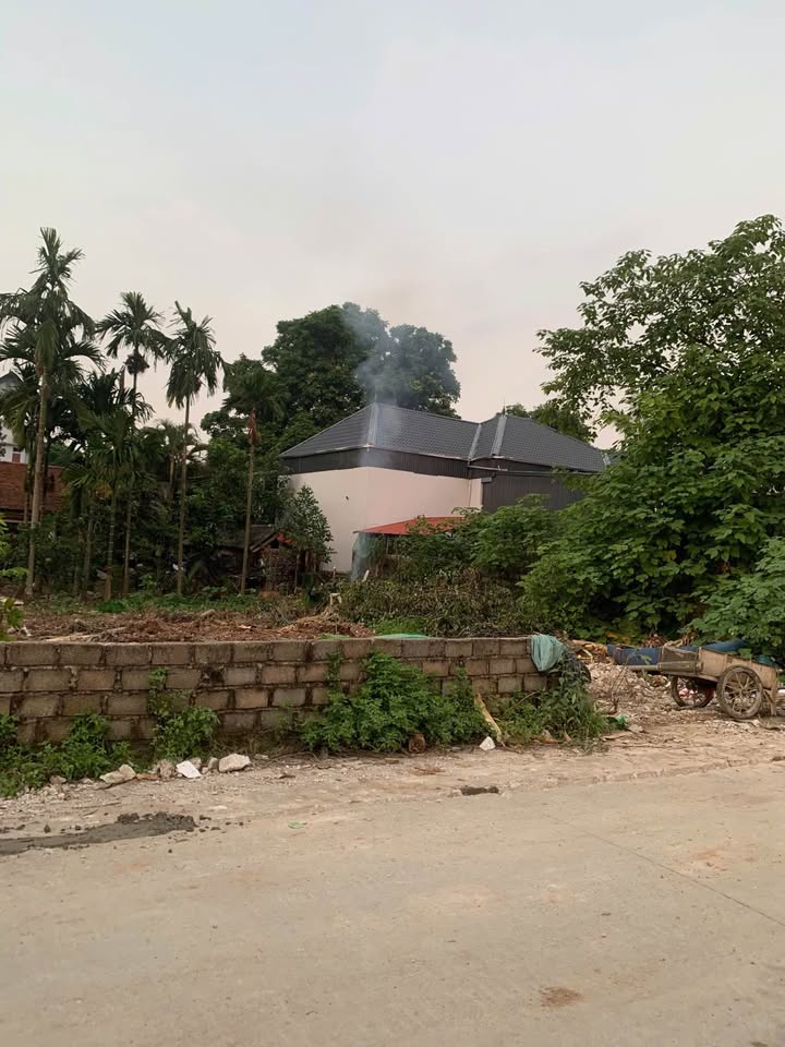 Đất nền Thôn Thọ Mỹ Đức 90m² - Tiềm năng tăng giá vượt trội!