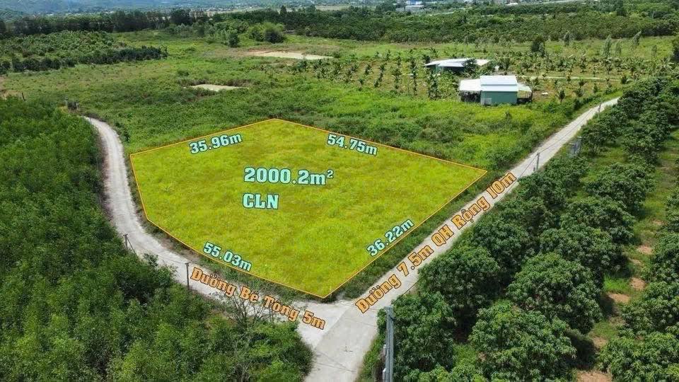 Đất Vườn Diên Thọ 2000m² - Sinh thái xanh, nghỉ dưỡng lý tưởng!