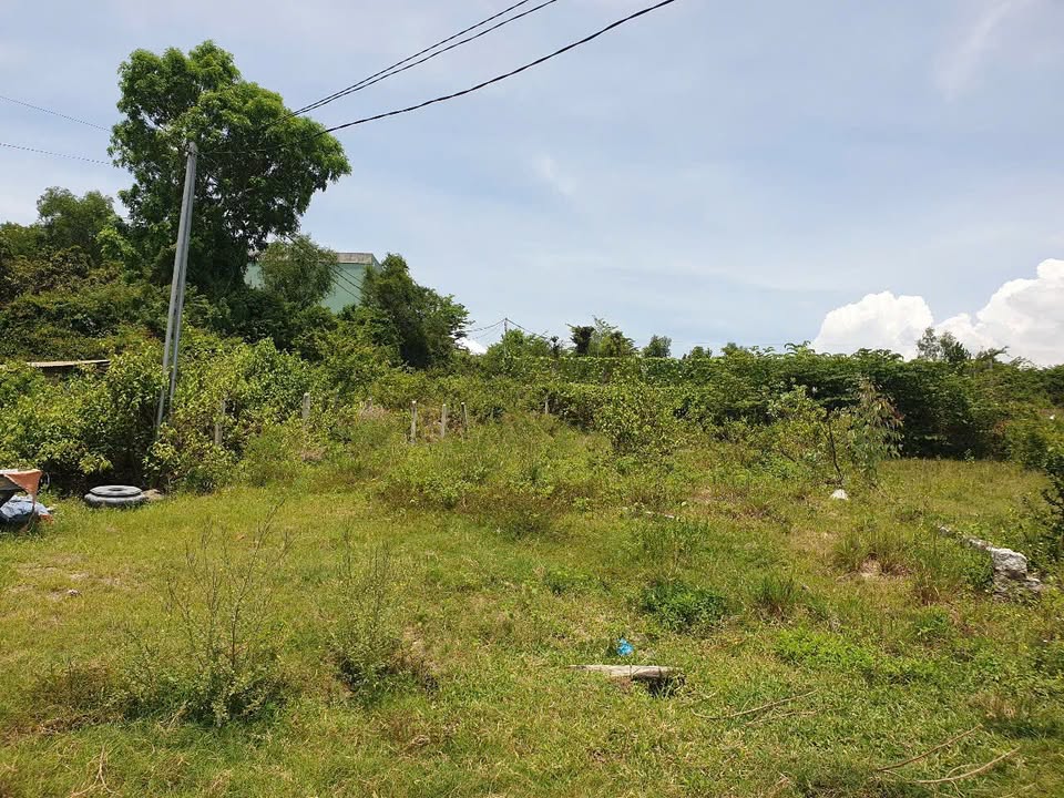 Đất Vườn 479m² Diên Lạc, Khánh Hoà - Sổ Riêng, Giá 3.9 Tỷ