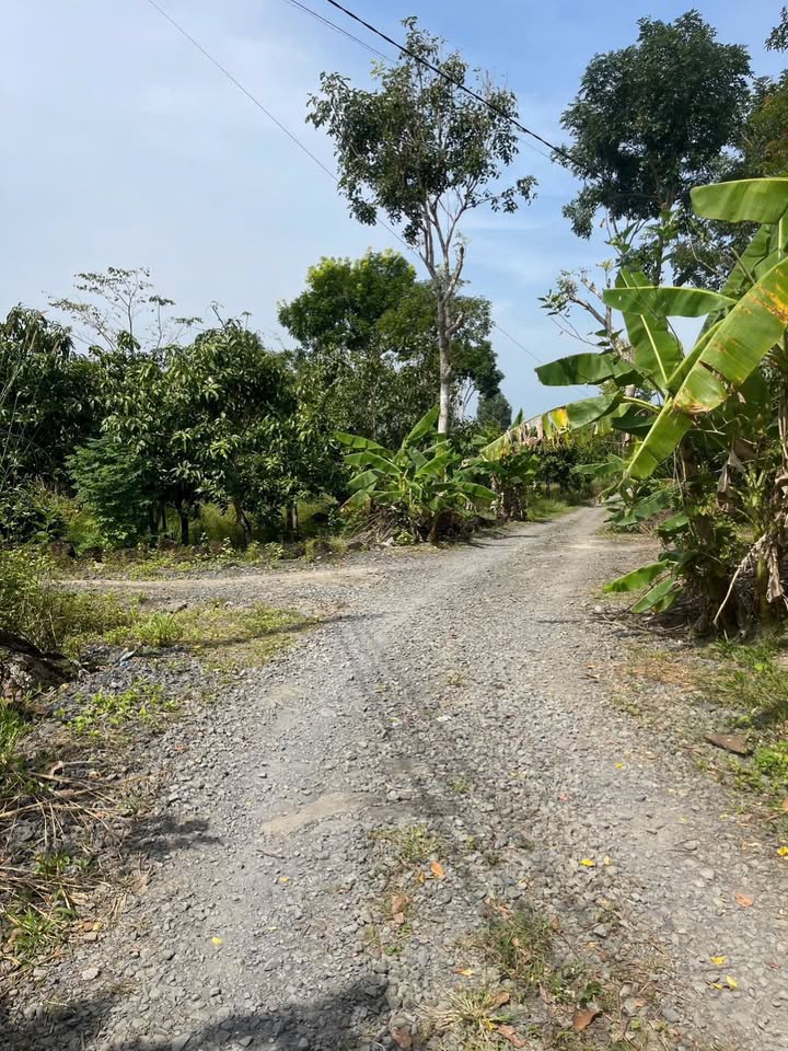 Đất vườn 1000m² cách QL20 6km - Sổ đỏ chính chủ, giá 550 triệu