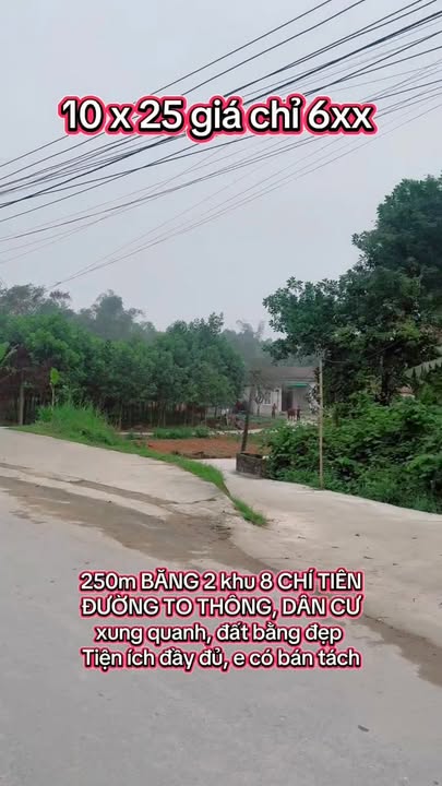 Đất nền Chí Tiên, Thanh Ba 250m² - Đường to ô tô, dân cư đông!