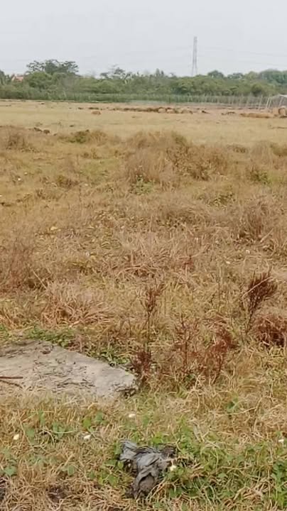 Đất nền Xuân Lộc, Đồng Nai 2800m² giá 599 triệu - Sổ đỏ trao tay!