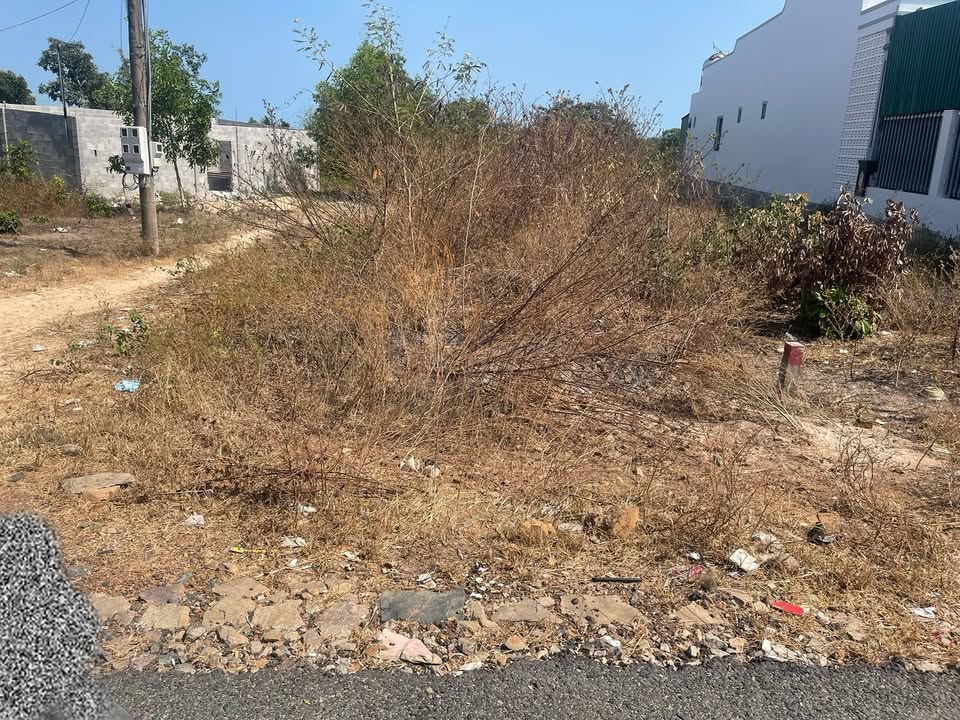 Đất mặt tiền Nguyễn Thông 190m² giá 1.25 tỷ - Sổ đỏ chính chủ