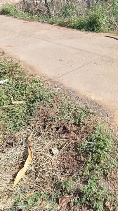 Đất nền Phú Hội Đức Trọng 95m² 1.3 tỷ - Đường ô tô vào