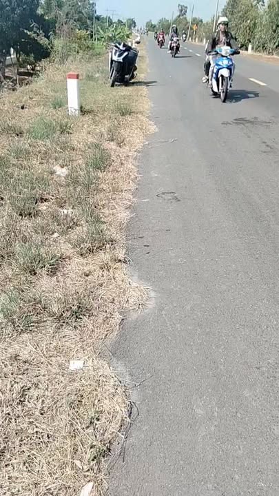 Đất nền Quốc lộ 62 Mộc Hóa 15.000m² - Tiềm năng tăng giá vượt trội!