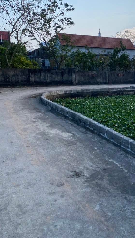 Đất nền Nghĩa Hải 230m² - Hơn 700 triệu, Sổ đỏ chính chủ!