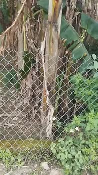 Bán Đất Nền Thôn Thượng Phước, Hòa Vang - 133m² Giá 4 Tỷ