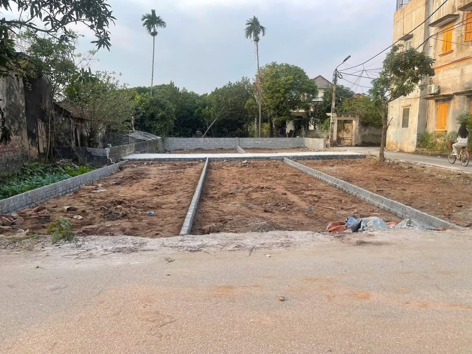 Đất nền trục chính An Tảo 65m² - Sổ đỏ chính chủ, giá F0 cực tốt!