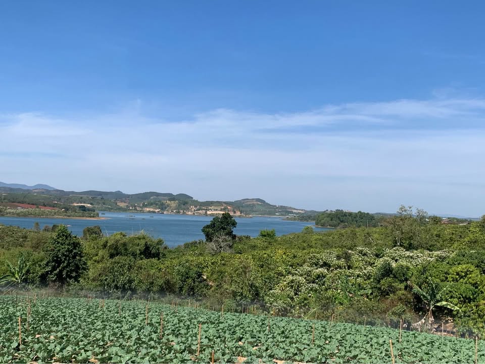 Đất Nền Tà Hine, Đức Trọng 7500m² View Hồ - Tiềm Năng Tăng Giá!