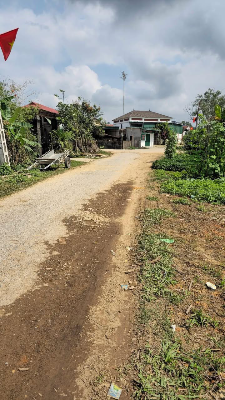 Bán đất Thượng Sơn, Đô Lương 405m² full thổ cư - Sẵn sàng đầu tư