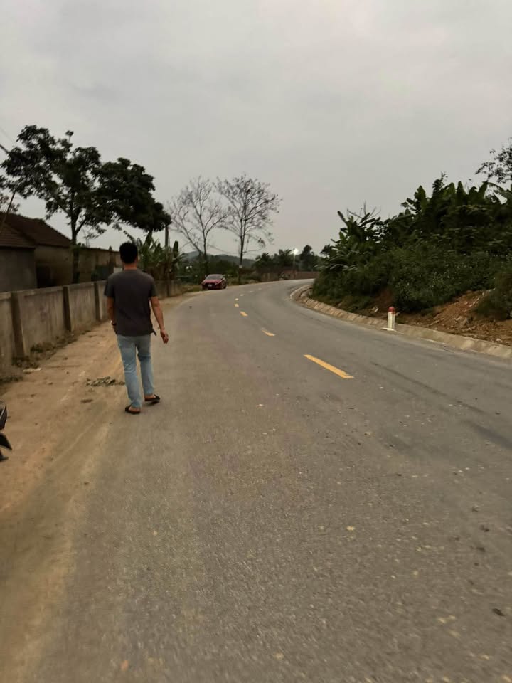 Bán Đất Mỹ Sơn Đô Lương - 160m² Mặt Tiền Tỉnh Lộ 533 Kinh Doanh Tốt