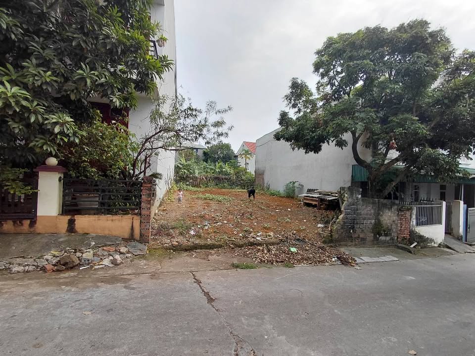 Đất nền Việt Trì 100m² - Trục chính Thụy Vân, ô tô tránh, giá 1 tỷ