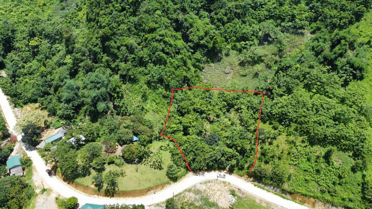 Đất vườn Đà Bắc 5000m² giá 1 tỷ - Nghỉ dưỡng lý tưởng!