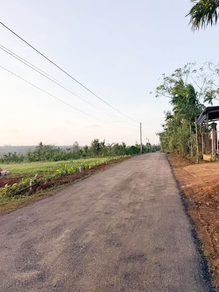 Đất MT Đường Nhựa Ea Drong, Buôn Hồ 320m² - Sổ Đỏ Sẵn Sàng
