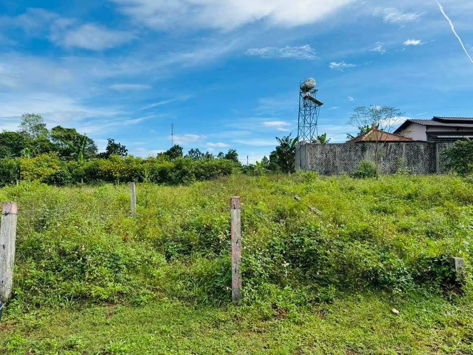 Bán Đất Hẻm Nguyễn Siêu Pleiku 175m² - Sổ Hồng Sẵn Sàng