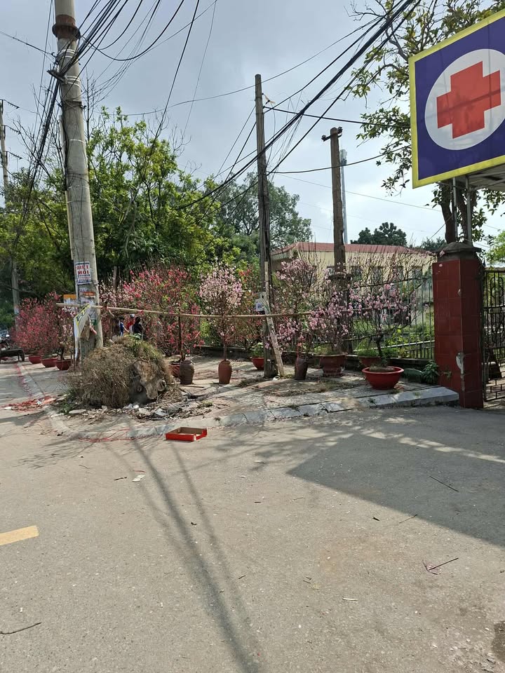 Đất Nền Làn 2 QL17 Thuận Thành 110m² - Sẵn Sàng Đầu Tư Đón Quy Hoạch