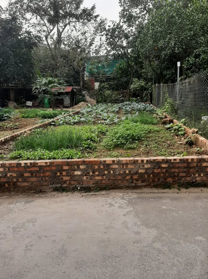 Đất nền Đông Côi 60m² giá 2.3 tỷ - Sổ đỏ chính chủ cực đẹp