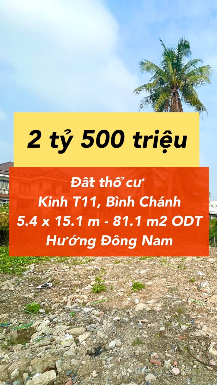 Đất nền Bình Chánh 81m² giá 2.5 tỷ - Sổ hồng riêng đường ô tô!