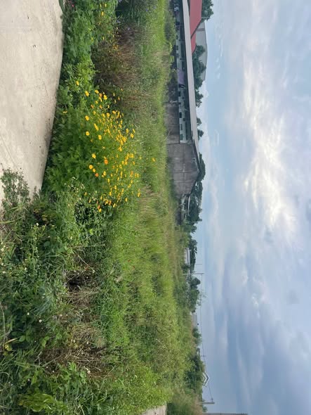 Đất nền Phường Mỹ Phong, TP Mỹ Tho 100m² - Sổ đỏ chính chủ!