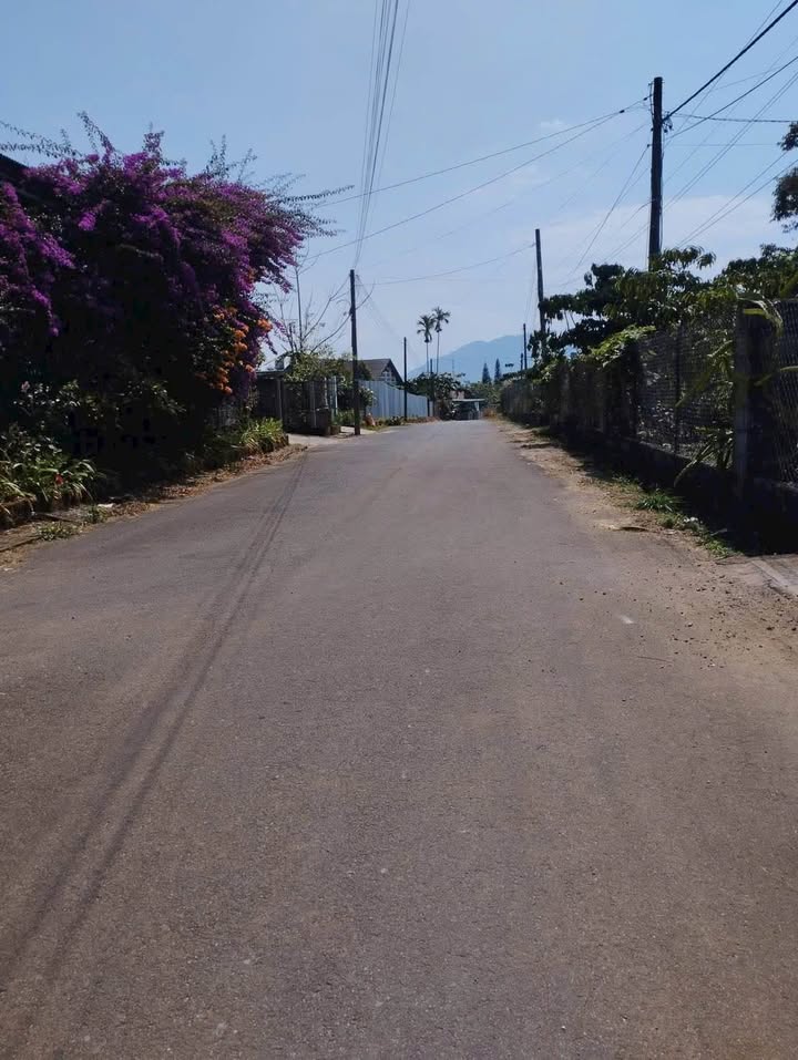 Đất Mặt Tiền Nguyễn Tri Phương, Bảo Lộc - 2010m² Thổ Cư, Giá Tốt Nhất