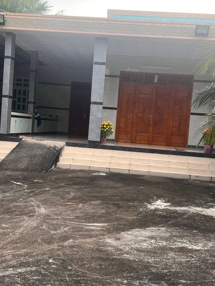 Farm 4900m² Vĩnh Long - Vườn Dừa Trĩu Quả, Thu Nhập Ổn Định