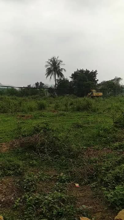 Đất nền Phú Thọ 7000m² - Lô góc 2 mặt tiền, kinh doanh, nghỉ dưỡng