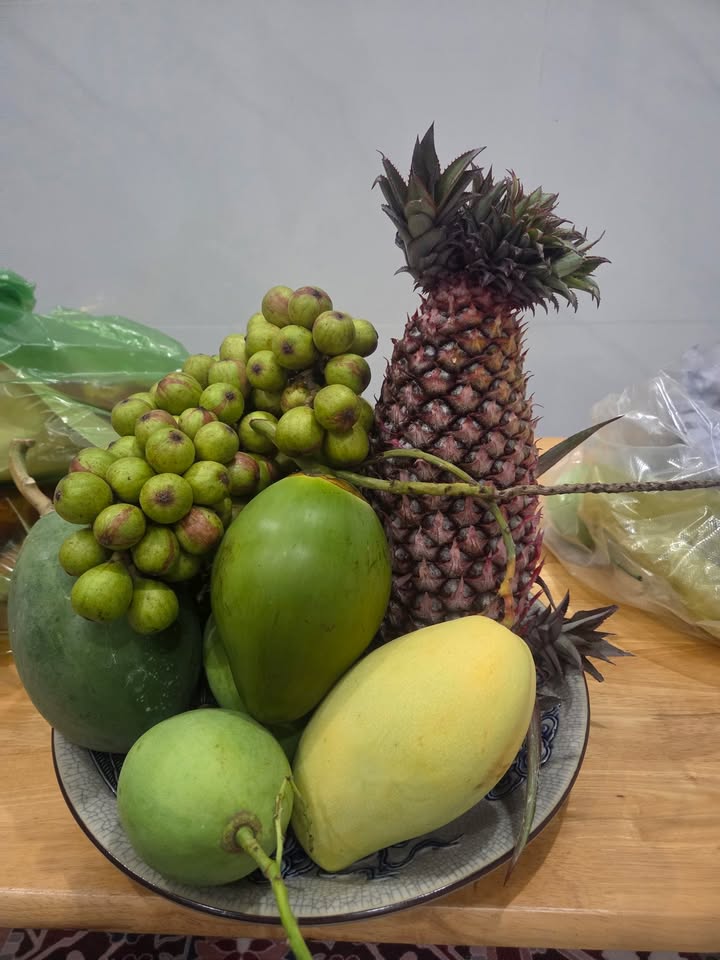 Đất Lộc Châu Bảo Lộc 8x35m 2.35 tỷ - Giá tốt hiếm có