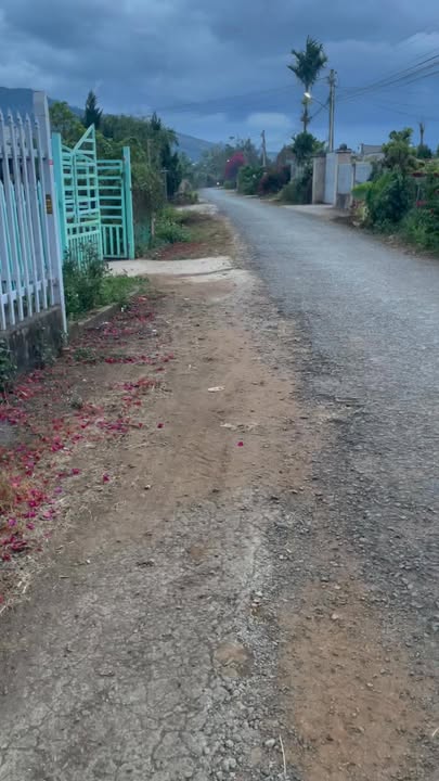 Đất nền Phú Hiệp Di Linh 1000m² - Xây dựng tự do, tiềm năng lớn!