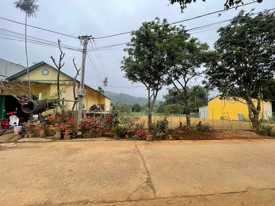 Đất nền Hợp Phong 244.7m² - Sổ đỏ chính chủ, đường ô tô 6m!
