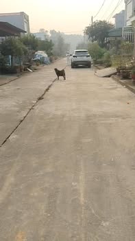 Đất nền Thôn Ngọn Ngòi 300m² - Tây Hồ, Sổ đỏ chính chủ, tiềm năng tăng giá!