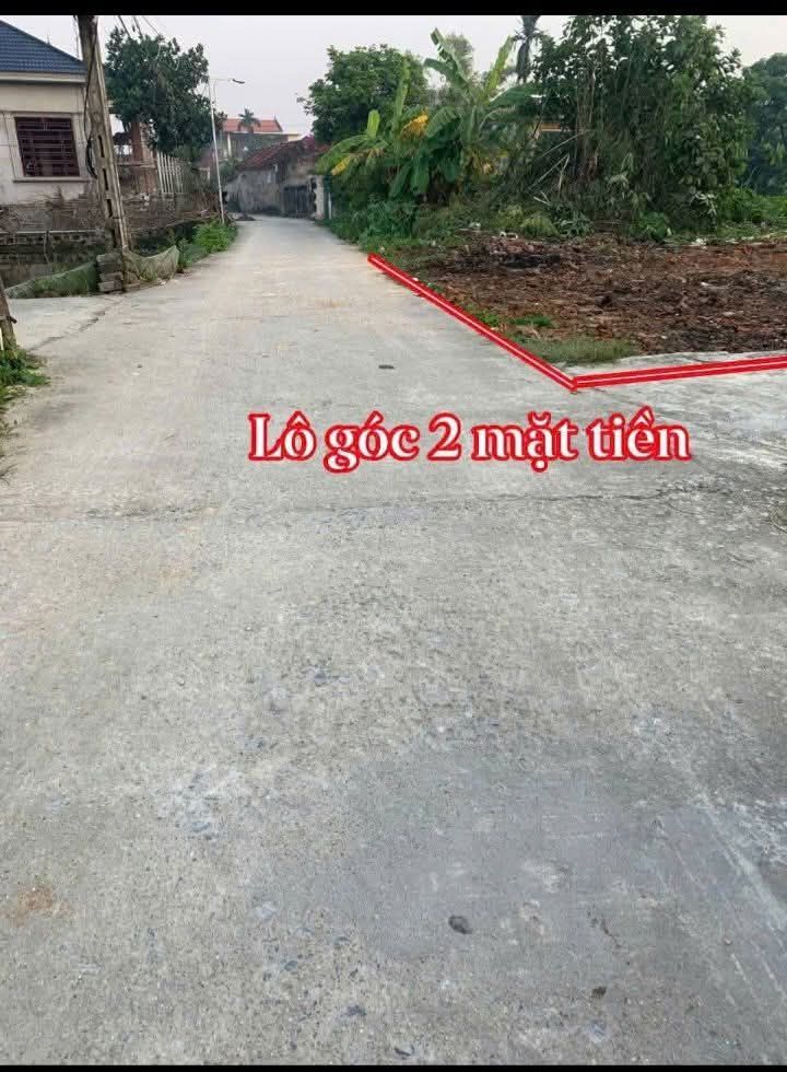 Đất Bình An Bình Lục 78m² giá thỏa thuận - Đường to ô tô