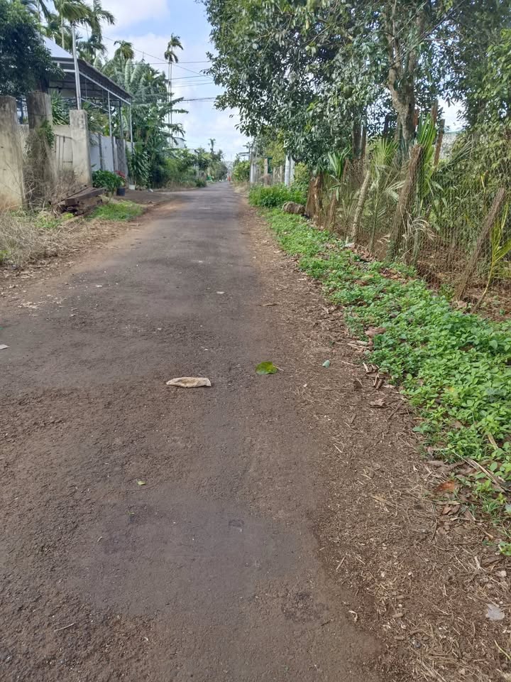 Đất nền Đường A8 Hòa Thuận 400m² - Tiềm năng tăng giá vượt trội!